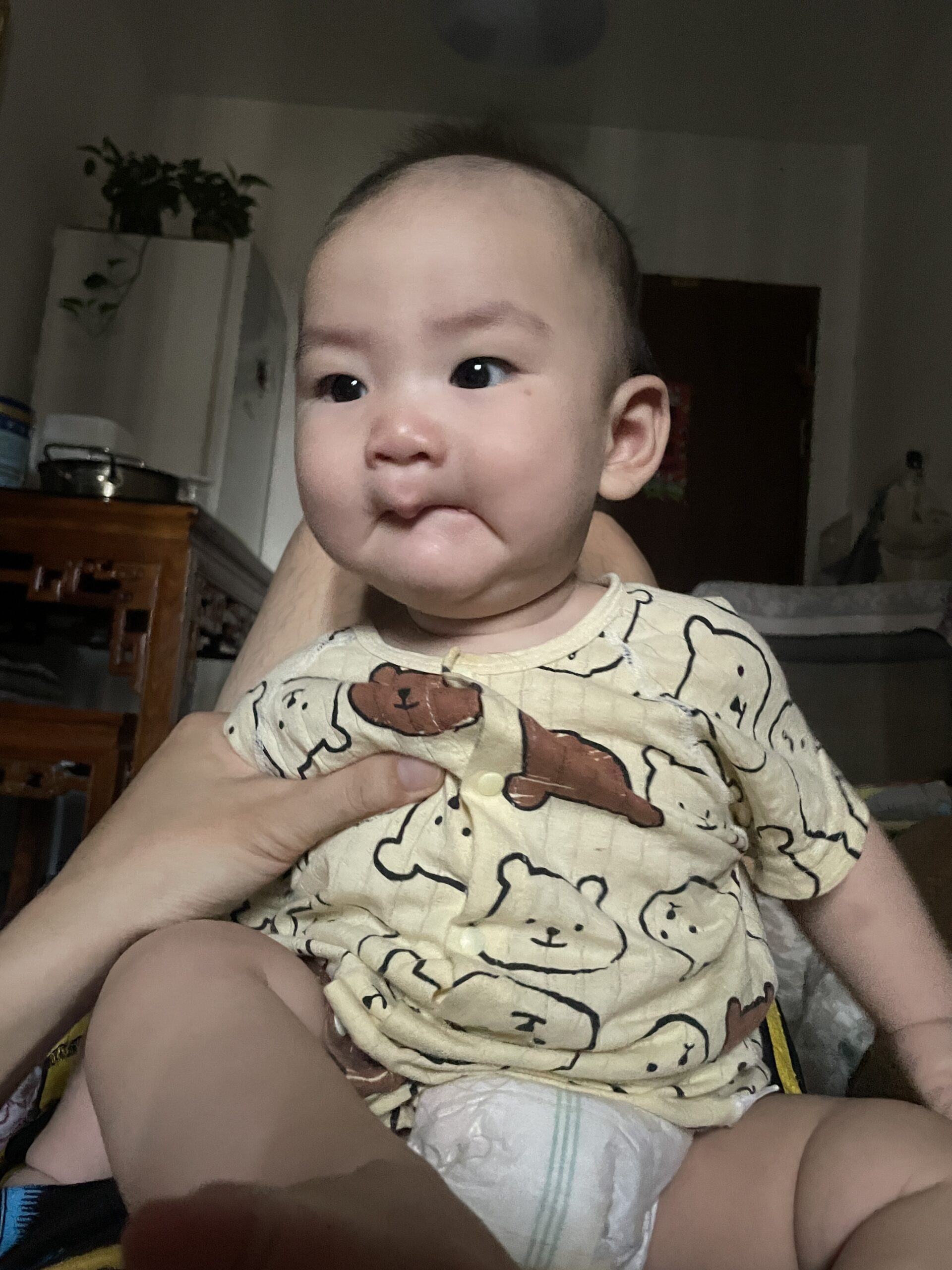 鹰鹰怪