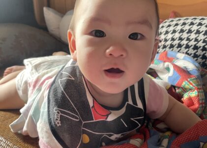 久别归来