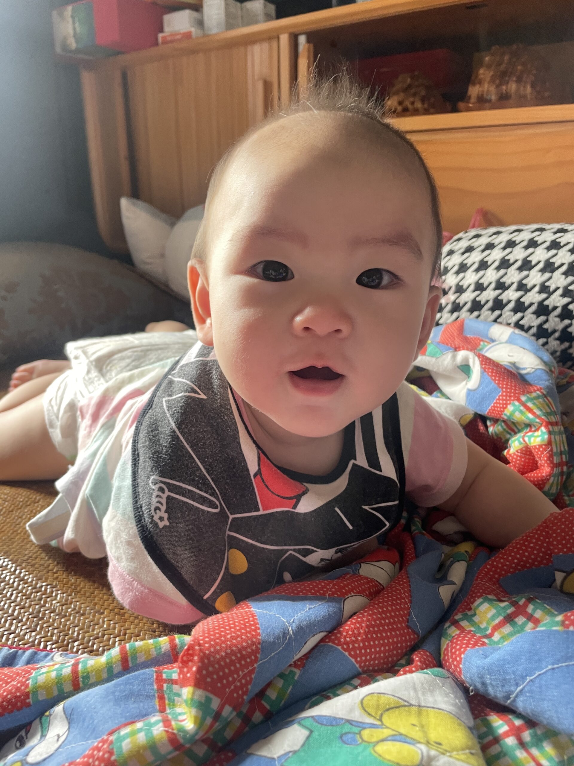 久别归来